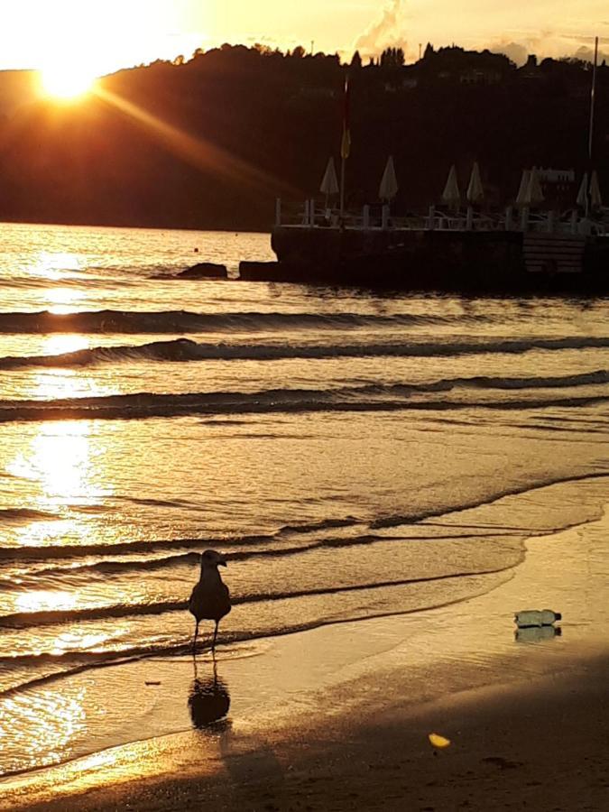 Comoda Posizione, Per 5-Terre, Portovenere, Lerici La Spezia Eksteriør bilde